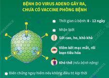 Bệnh Adeno Virus 10/2022